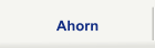 Ahorn