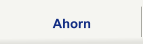 Ahorn